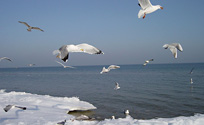 Aktivitäten im Urlaub auf der Sonneninsel Usedom an der Ostsee: